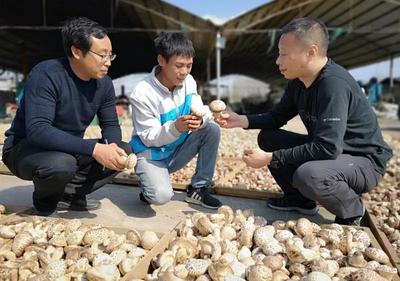 驻马店市驿城区:城乡结对帮扶 携手共奔小康